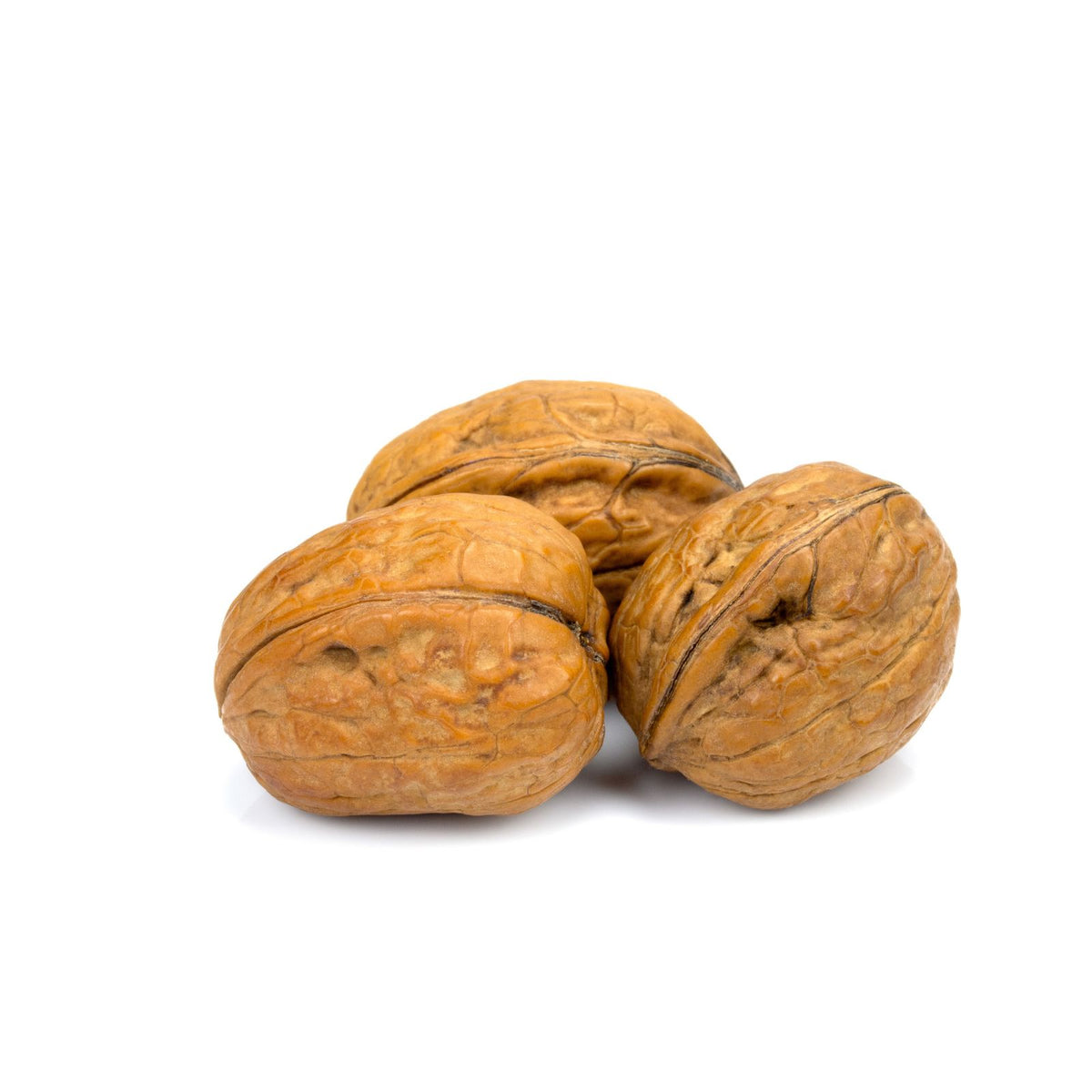 Walnüsse in der Schale für Küche, Gebäck und Snacks Obst Obstwelt