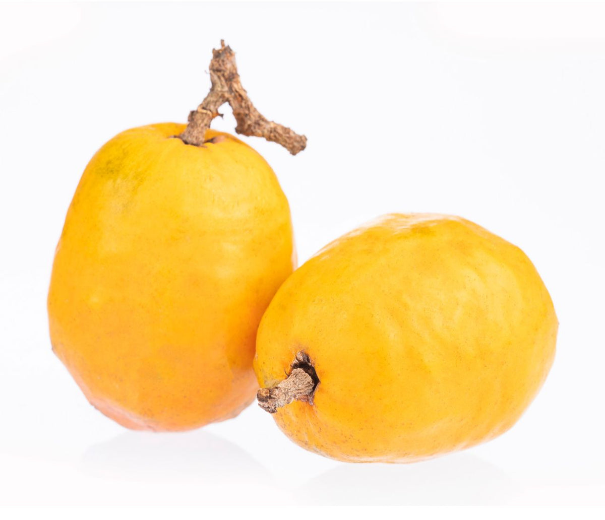 Jobo-Frucht – aromatische Jocote für die tropische Küche Exoten Obstwelt