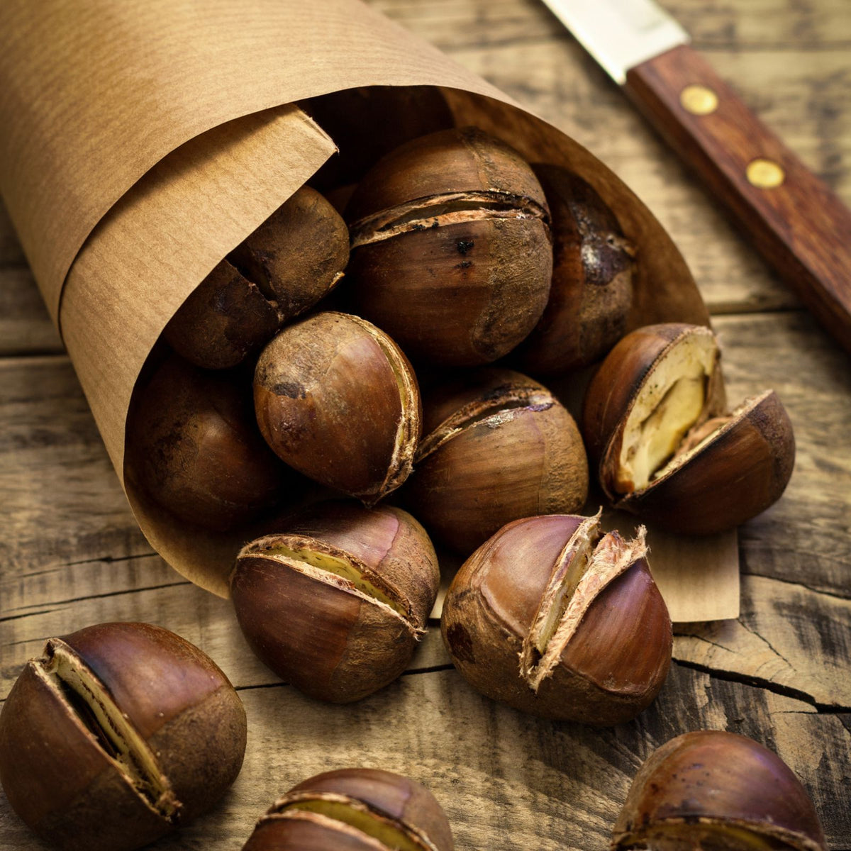 Frische Maronen (Esskastanien) zum Rösten und Kochen Obst Obstwelt
