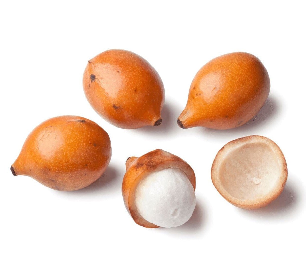 Achachairú – Exotische Früchte aus Bolivien Exoten Obstwelt