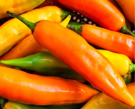 Aji Amarillo Chili – Fruchtige Schärfe für peruanische Klassiker chili Obstwelt