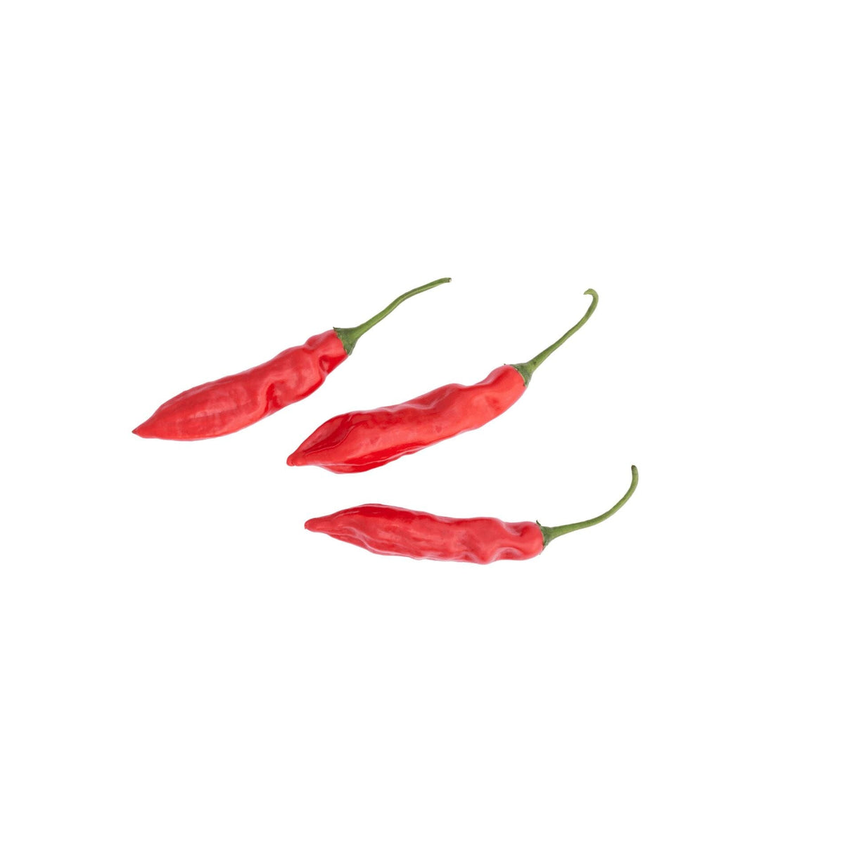 Aji Limo Rot Chilis (Aji Limo) – Peruanische Schärfe chili Obstwelt