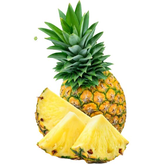 Ananas Püree von PONTHIER – Tropisch-frisch für Bar & Patisserie Fruchtpüree Obstwelt
