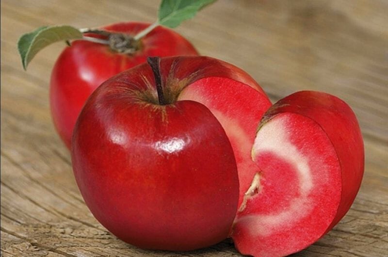 Apfel Red Love – Saftig-süß mit leuchtend rotem Fruchtfleisch Obstwelt