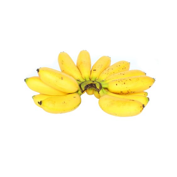 Apple Banana – Süß-aromatische Mini-Banane mit Apfel-Note Exoten Obstwelt