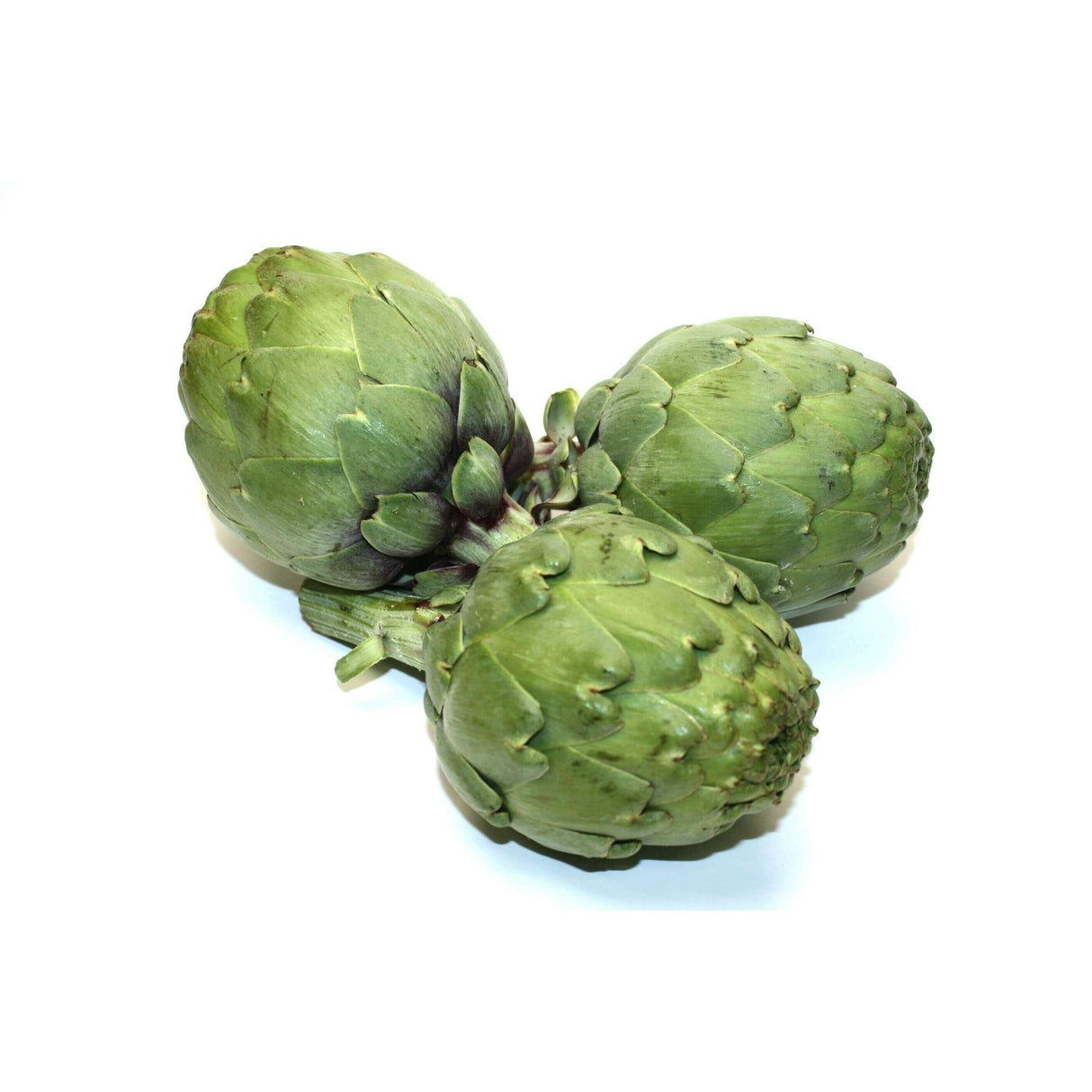 Artischocken – Nährstoffreich ideal für mediterrane Rezepte Gemüse Obstwelt
