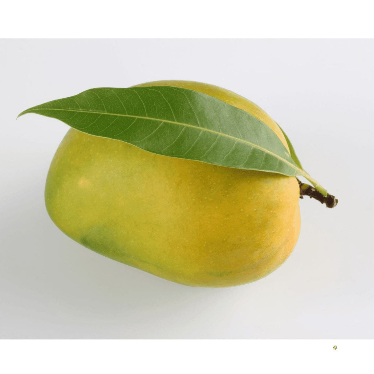 Badami Mango Exoten Obstwelt