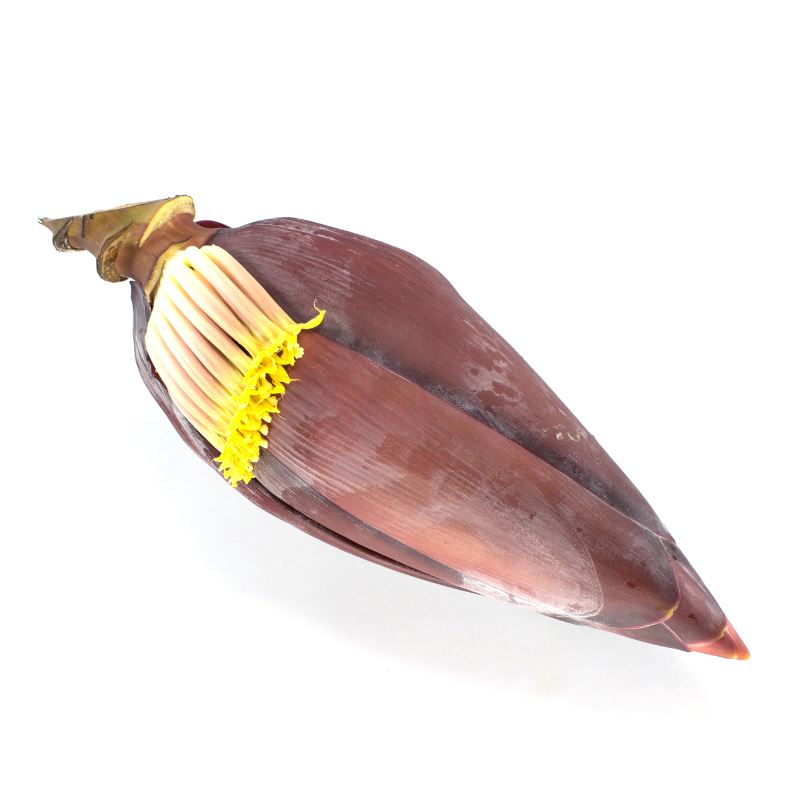 Bananenblüte – Exotische Delikatesse Exoten Obstwelt