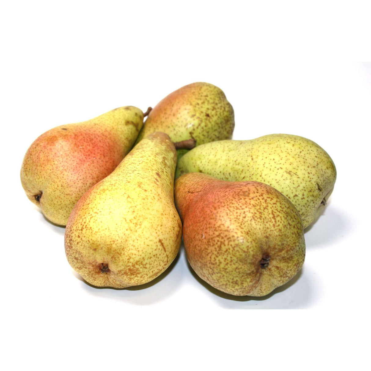 Birne 'Abate Fetel' – Elegant, Süß und Saftig Obst Obstwelt