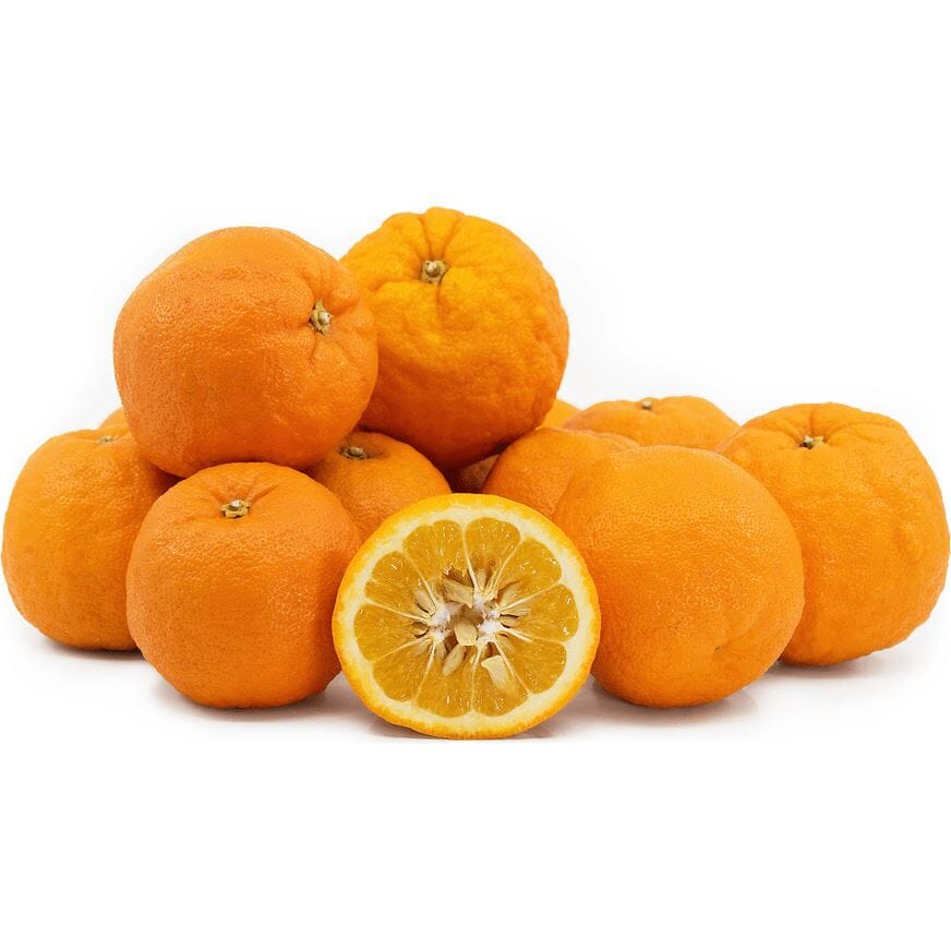 Bitterorangen Exoten Obstwelt