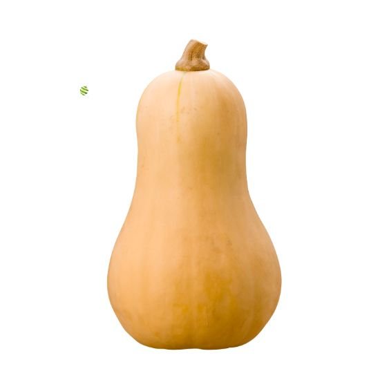 Butternusskürbis – Mild-nussiger Genuss für jede Küche Gemüse Obstwelt