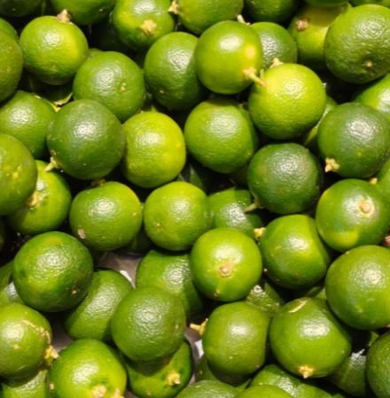 Calamansi Orangen – Exotische Mini-Zitrusfrucht für Genießer Exoten Obstwelt