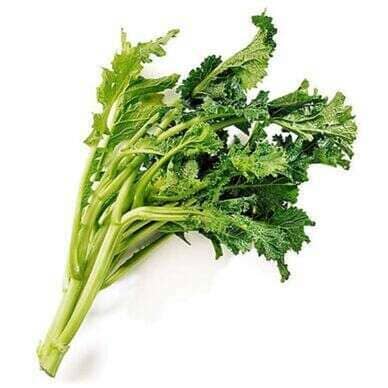 Cima di Rapa – Der Geschmack von Italien Gemüse Obstwelt