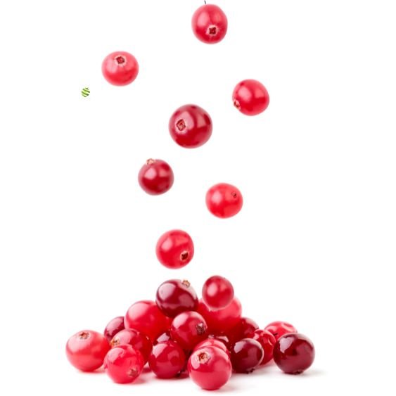 Cranberry Püree von PONTHIER – Fruchtig-herb für Bar & Patisserie Fruchtpüree Obstwelt