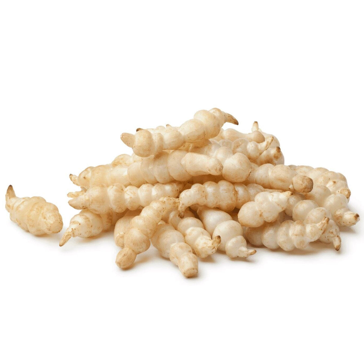 Crosne-Knollen – Exotisches Wurzelgemüse Exoten Obstwelt