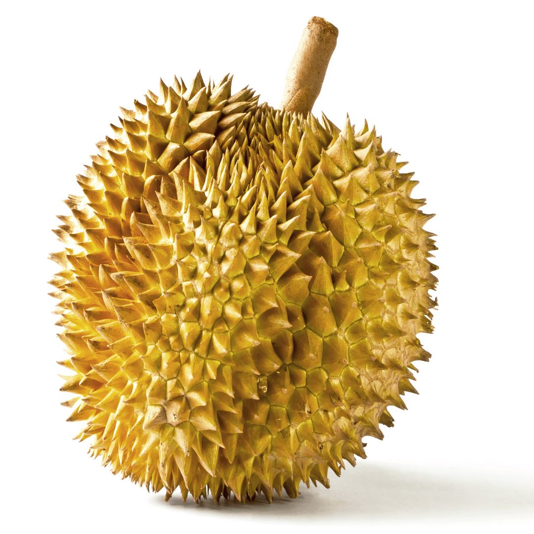 Exotische Durian Frucht als König der Früchte online bestellen