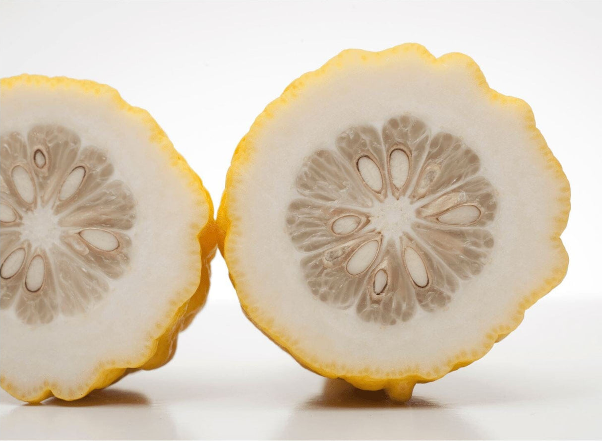 Etrog – Aromatische Zitrusfrucht Exoten Obstwelt