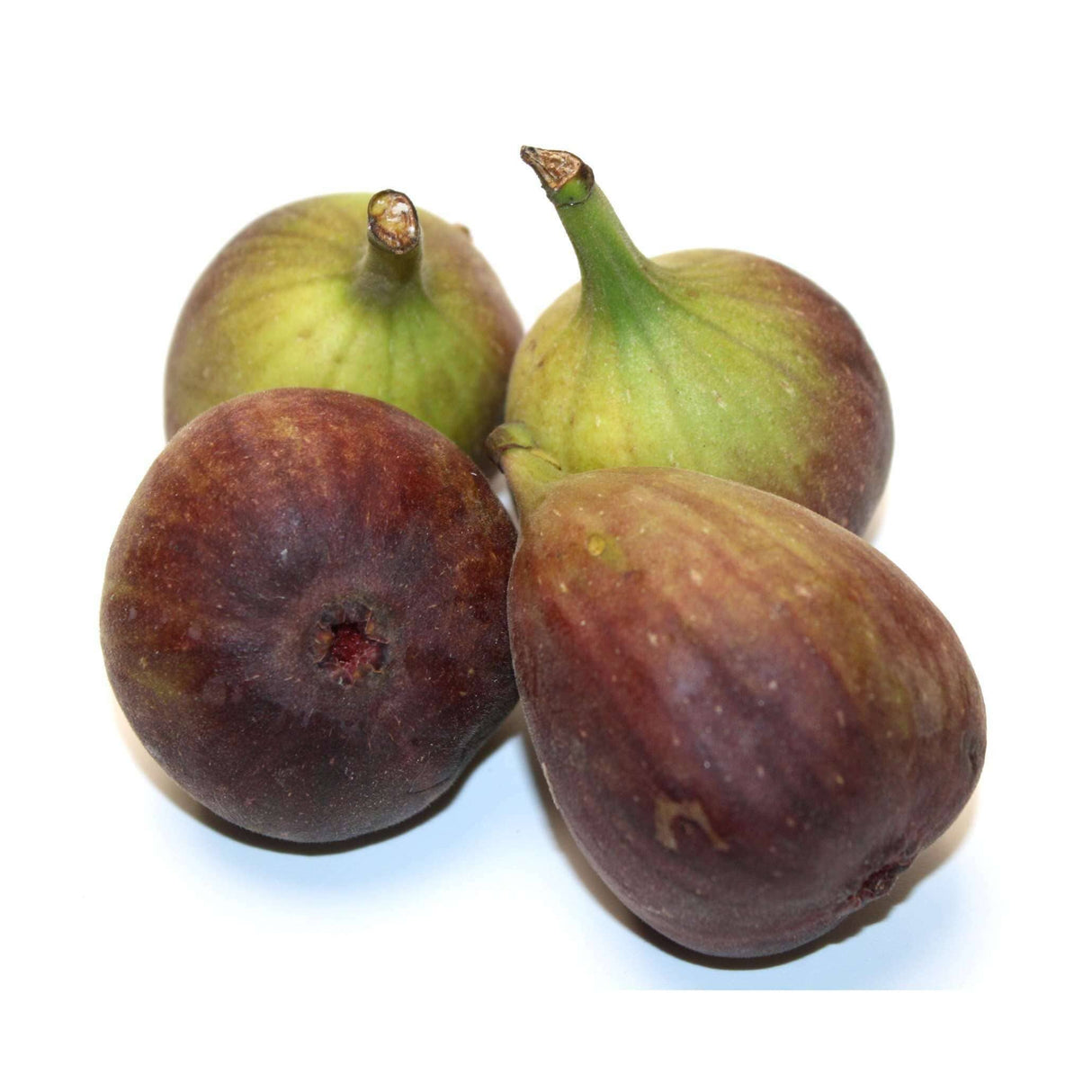 Feigen – Aromatische Früchte Exoten Obstwelt