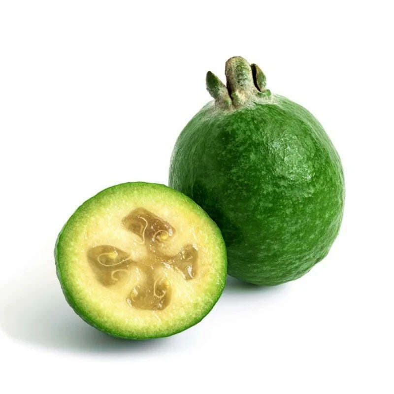 Feijoa – Aromatische Frucht Exoten Obstwelt