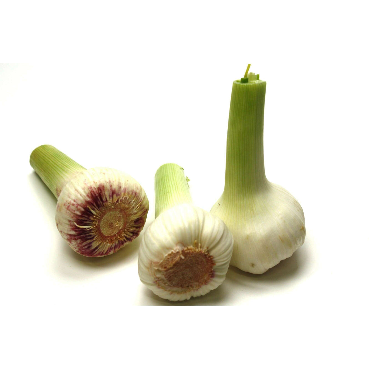 Frischer Knoblauch – Intensiver Geschmack Gemüse Obstwelt