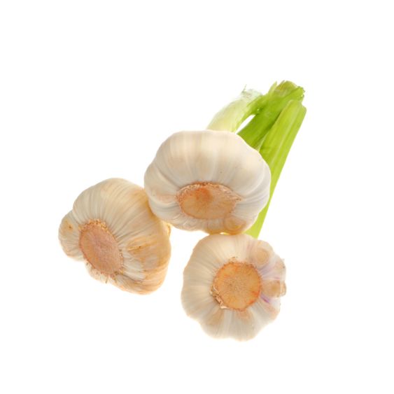 Frischer Knoblauch – Mild-aromatisch für echte Genussküche Gemüse Obstwelt