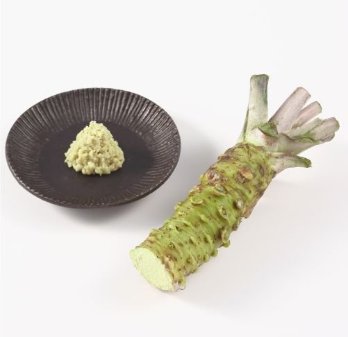 Frischer Wasabi – Echter Genuss für Sushi & Feinschmecker Exoten Obstwelt