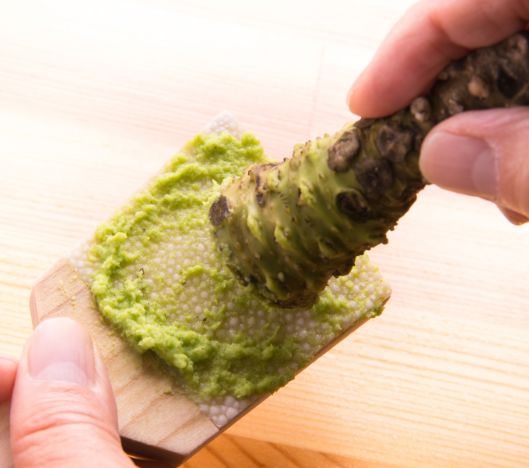 Echte Wasabiwurzel für Sushi, Sashimi und feine Küche