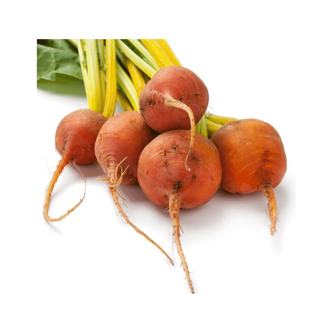 Gelbe Mini Bete – Farbige Rüben Gemüse Obstwelt