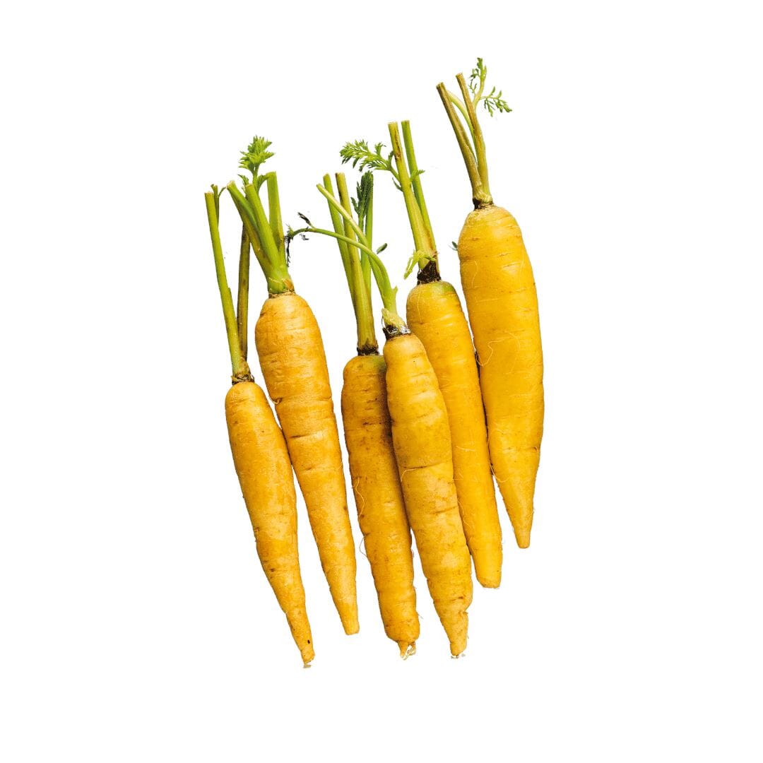 Gelbe Mini Karotten – Zarte und süße Karotten für kreative Rezepte Gemüse Obstwelt