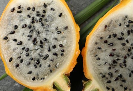 Gelbe Pitahaya – Süße Drachenfrucht für exotischen Genuss Exoten Obstwelt