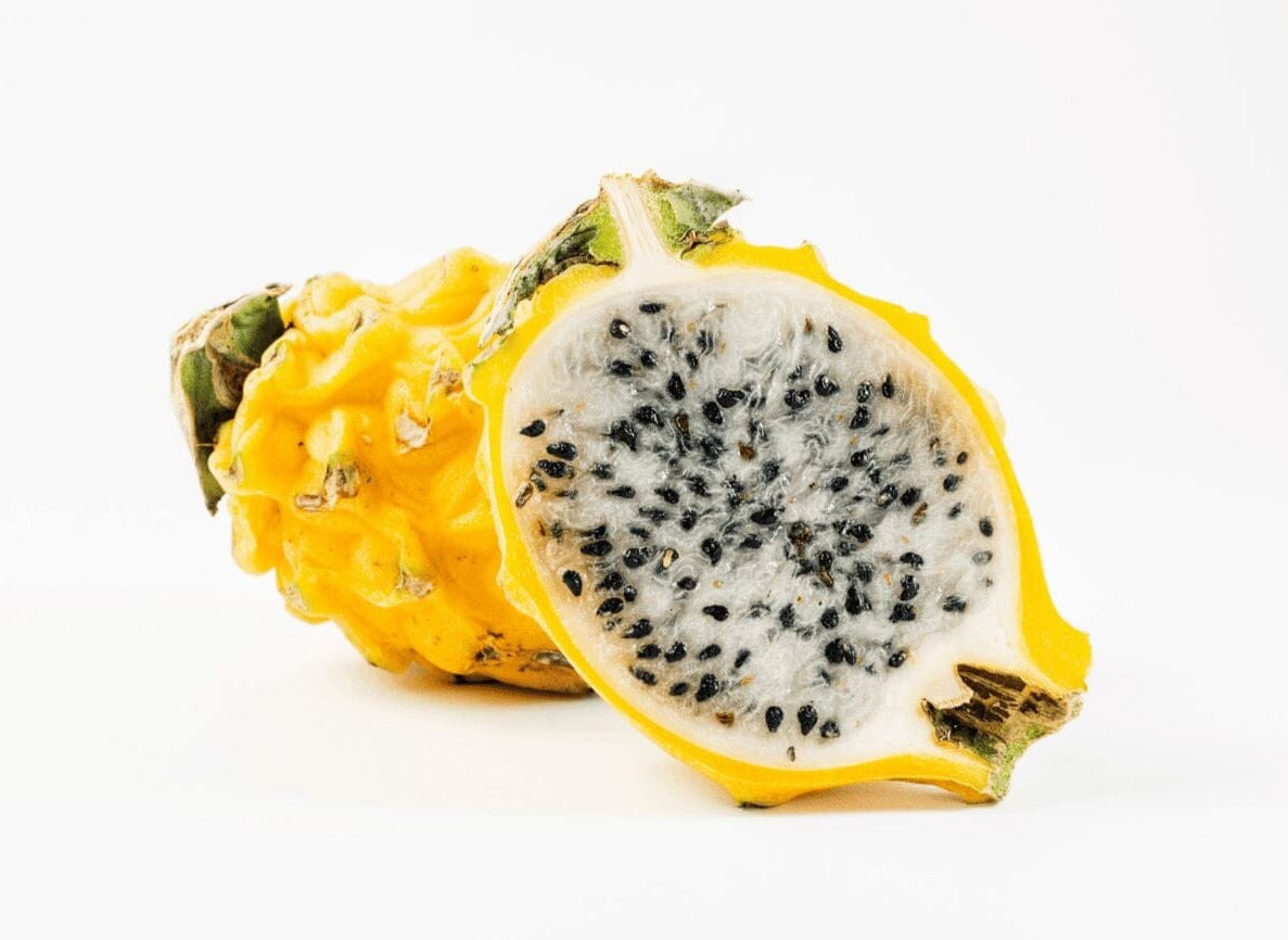 Gelbe Pitahaya – Süße exotische Frucht Exoten Obstwelt