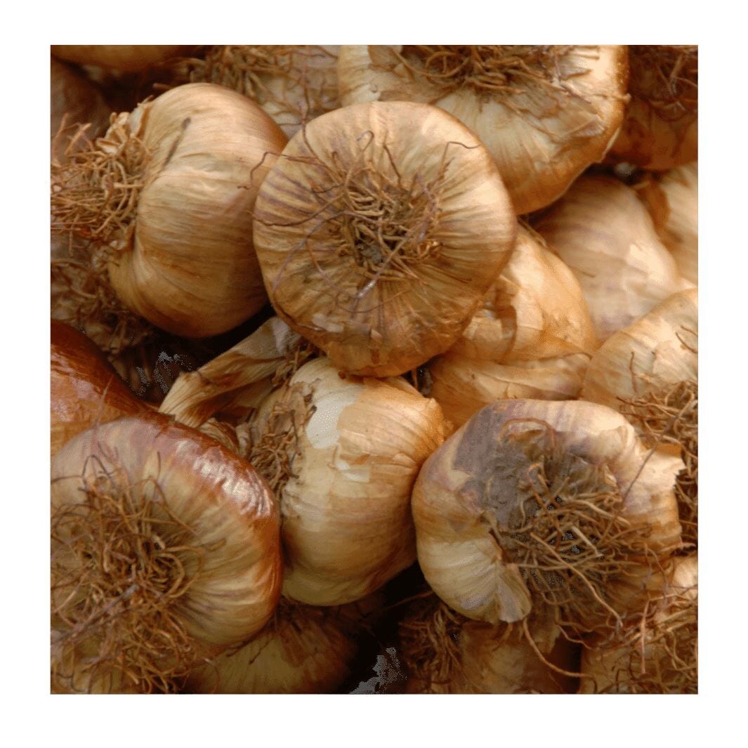 Geräucherter Knoblauch – Würziges Aroma Gemüse Obstwelt