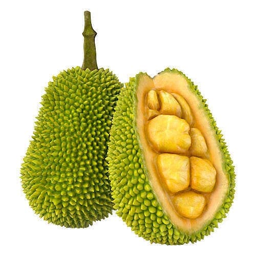 Geschälte Jackfrucht – Exotische Frucht Exoten Obstwelt