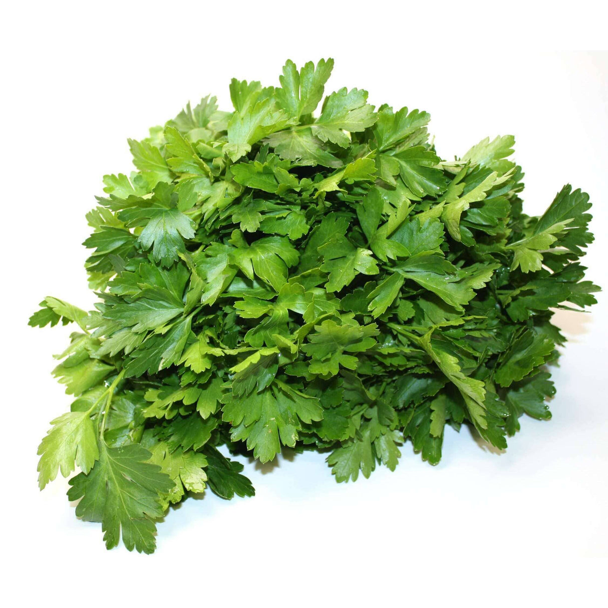 Glattblättrige Petersilie – Aromatisches Kraut für vielseitige Gerichte Gewürz Obstwelt