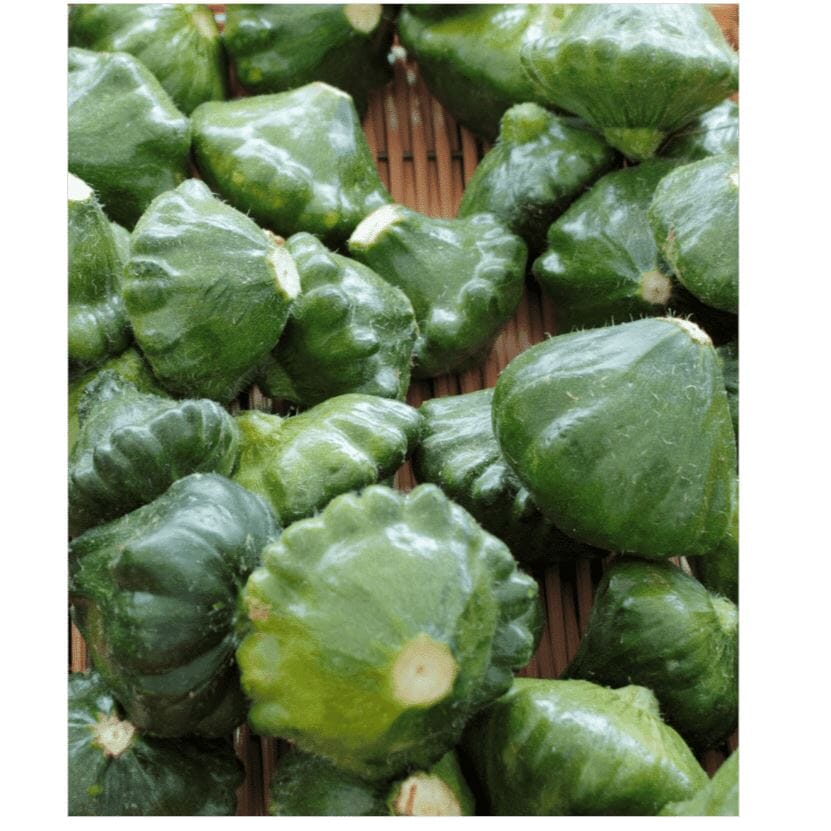 Grüne Mini Pattypan-Kürbisse – Zarte Kürbisse Gemüse Obstwelt
