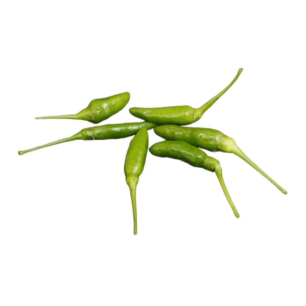 Grüne Rawit-Chilis – Kleine, scharfe Chilis für feurige Rezepte chili Obstwelt
