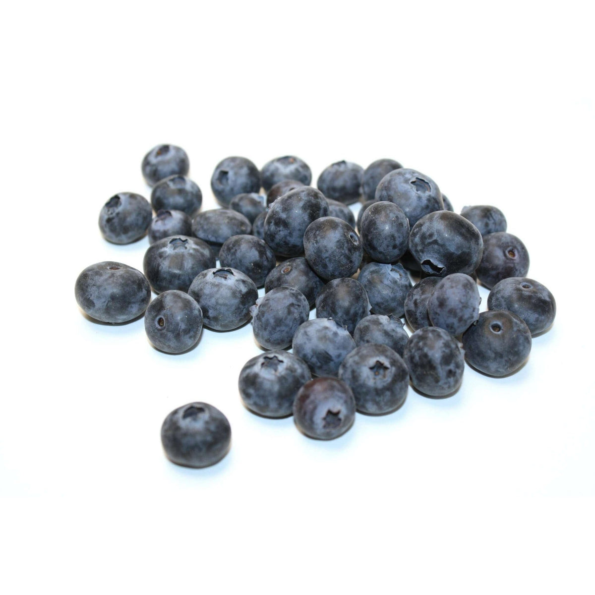 Heidelbeeren – Süße Beeren Obst Obstwelt