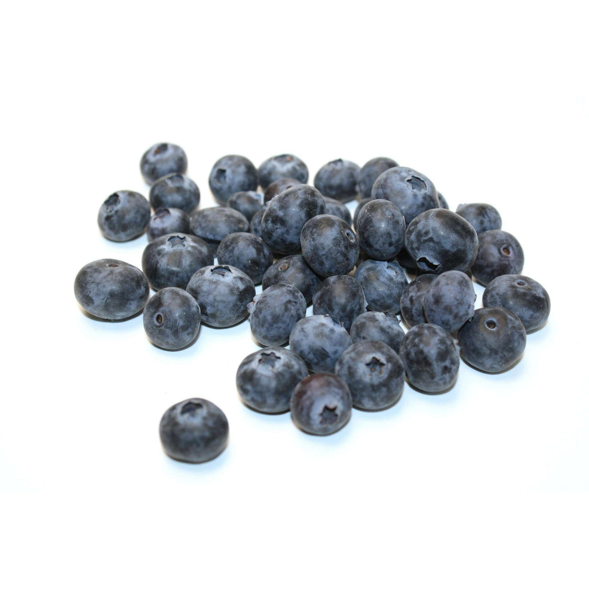 Heidelbeeren – Süße Beeren Obst Obstwelt