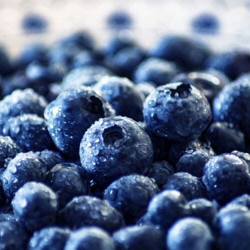 Heidelbeeren – Süße Beeren Obst Obstwelt