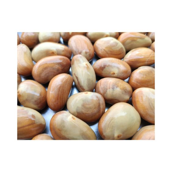 Jackfrucht Kerne – Nährstoffreich & vielseitig für Veggie-Küche Exoten Obstwelt