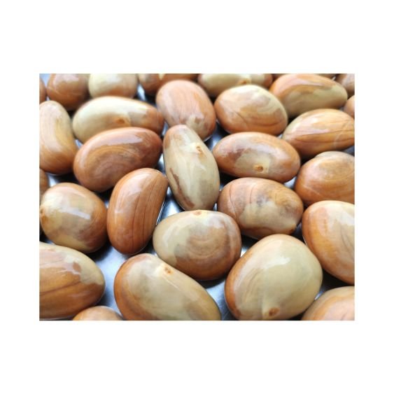 Jackfrucht Kerne – Nährstoffreich & vielseitig für Veggie-Küche Exoten Obstwelt