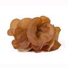 Judasohr-Pilze (Mu-Err) – Exotische Pilze für asiatische Rezepte Pilze Obstwelt