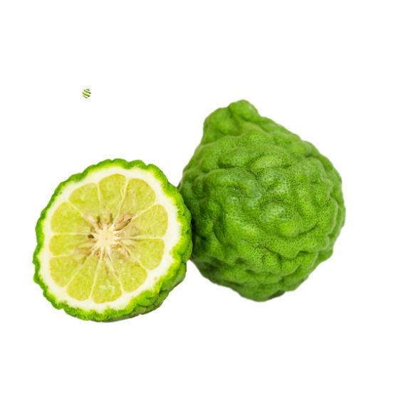 Kaffir Limette – Exotische Zitrusfrucht für Currys, Cocktails & Desserts Exoten Obstwelt
