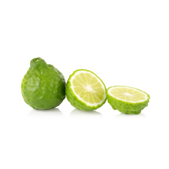 Kaffir Limette – Exotische Zitrusfrucht für Currys, Cocktails & Desserts Exoten Obstwelt