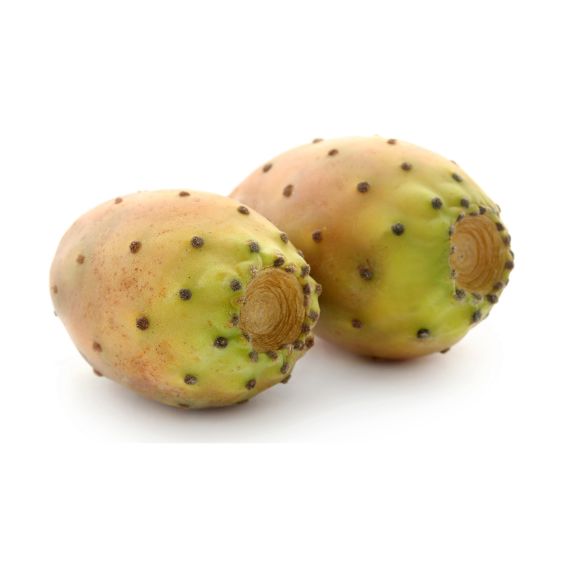 Kaktusfeige – Exotisch, süß & vitaminreich für Genießer Exoten Obstwelt