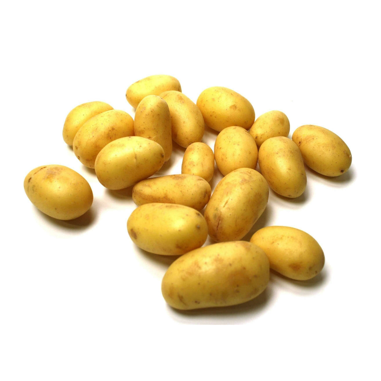 Kartoffeln Drillinge – Kleine festkochende Kartoffeln für feine Gerichte Gemüse Obstwelt