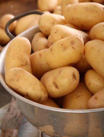 Kartoffeln 'La Ratte' – Feine französische Delikatesse Gemüse Obstwelt