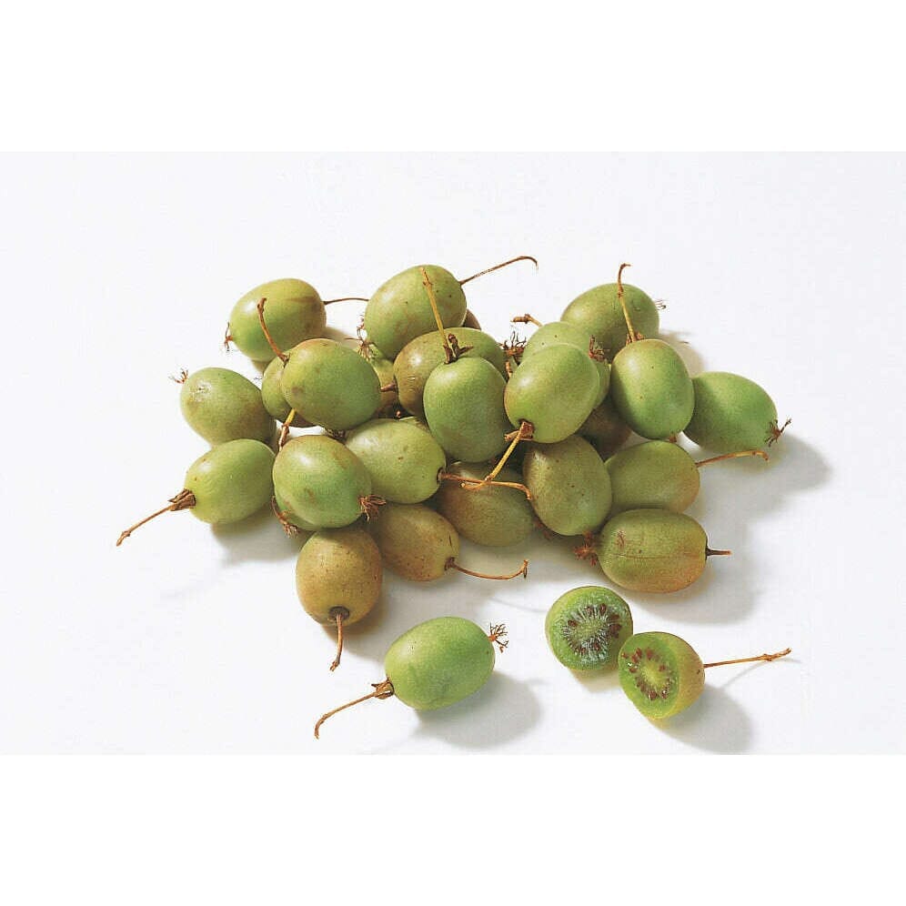 Kiwi Beeren Exoten Obstwelt