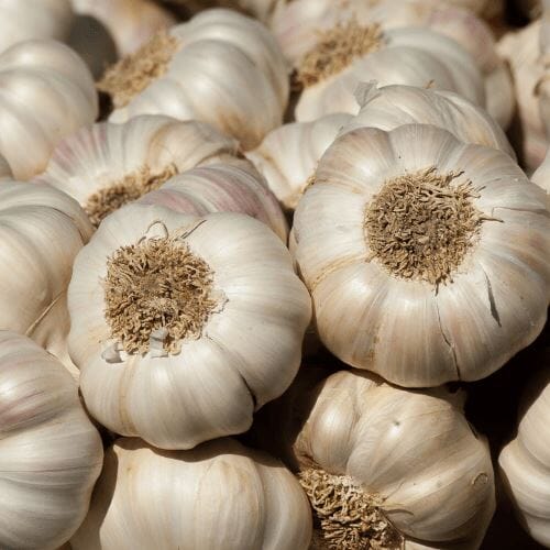 Knoblauch – Aromatische Würze für vielfältige Gerichte Gemüse Obstwelt