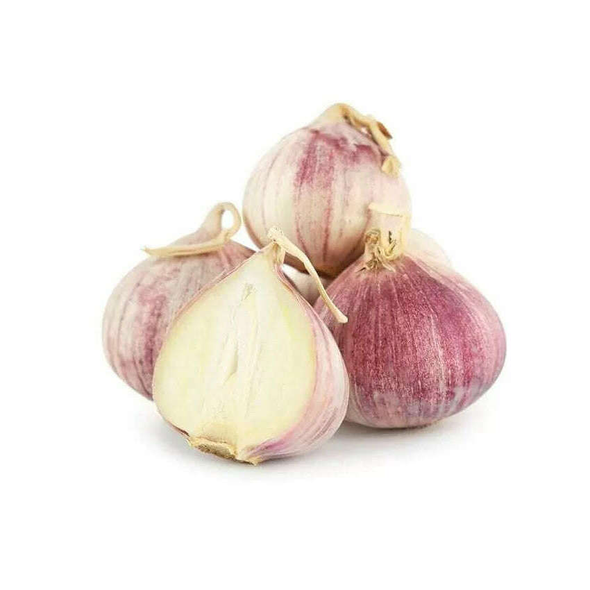 Knoblauch SOLO – Aromatische Einzelknolle für feine Gerichte Gemüse Obstwelt